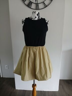 Black & Tan Sleeveless Fit-and-Flare Dress